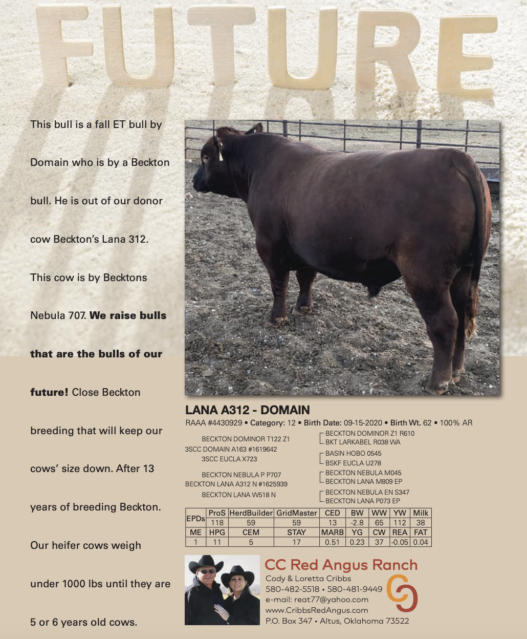 This bull is currently available for sale through Private Treaty